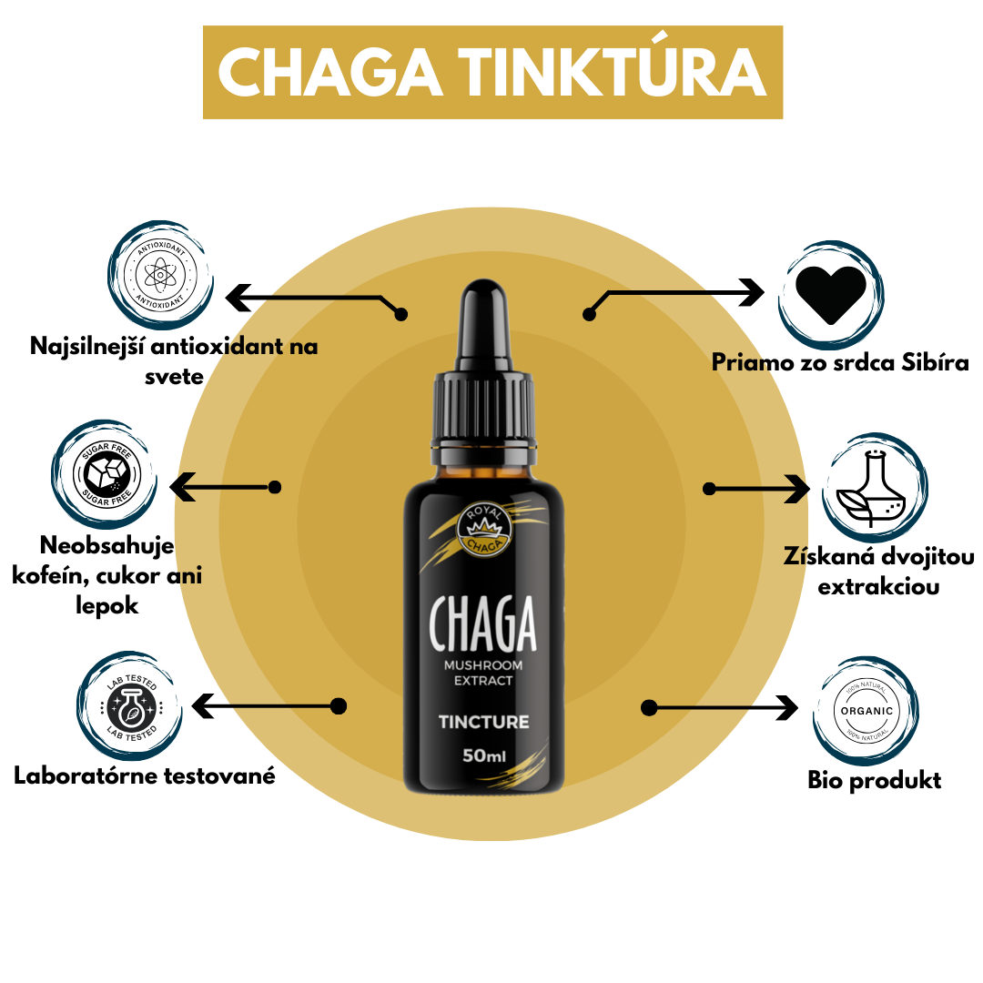 CHAGA TINKTÚRA